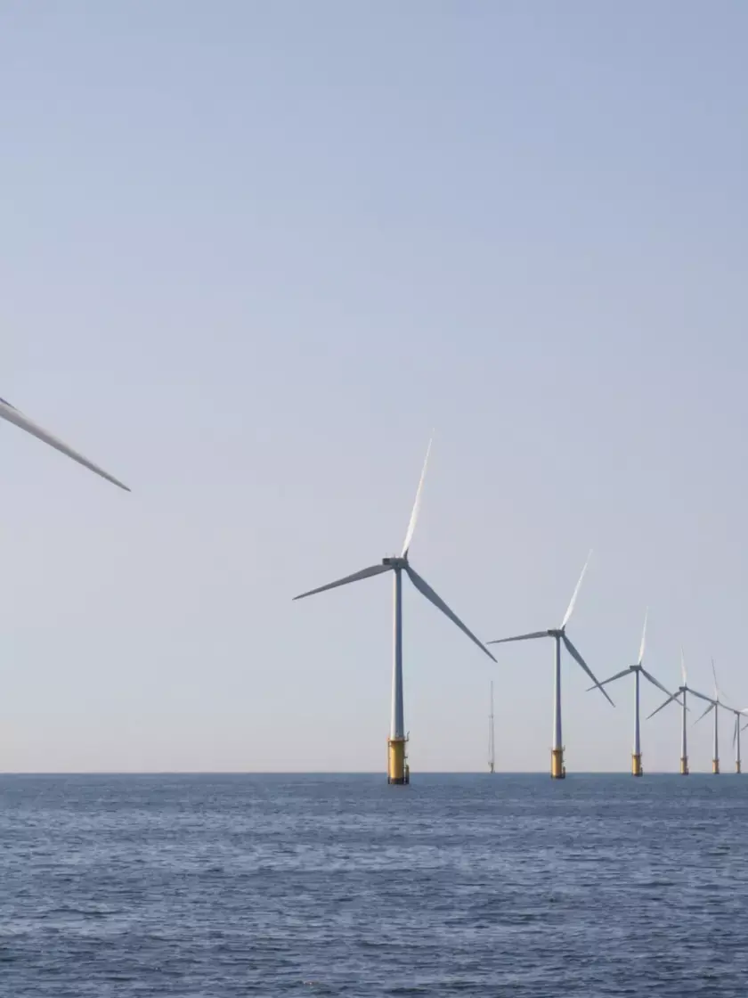 Offshore wind farm