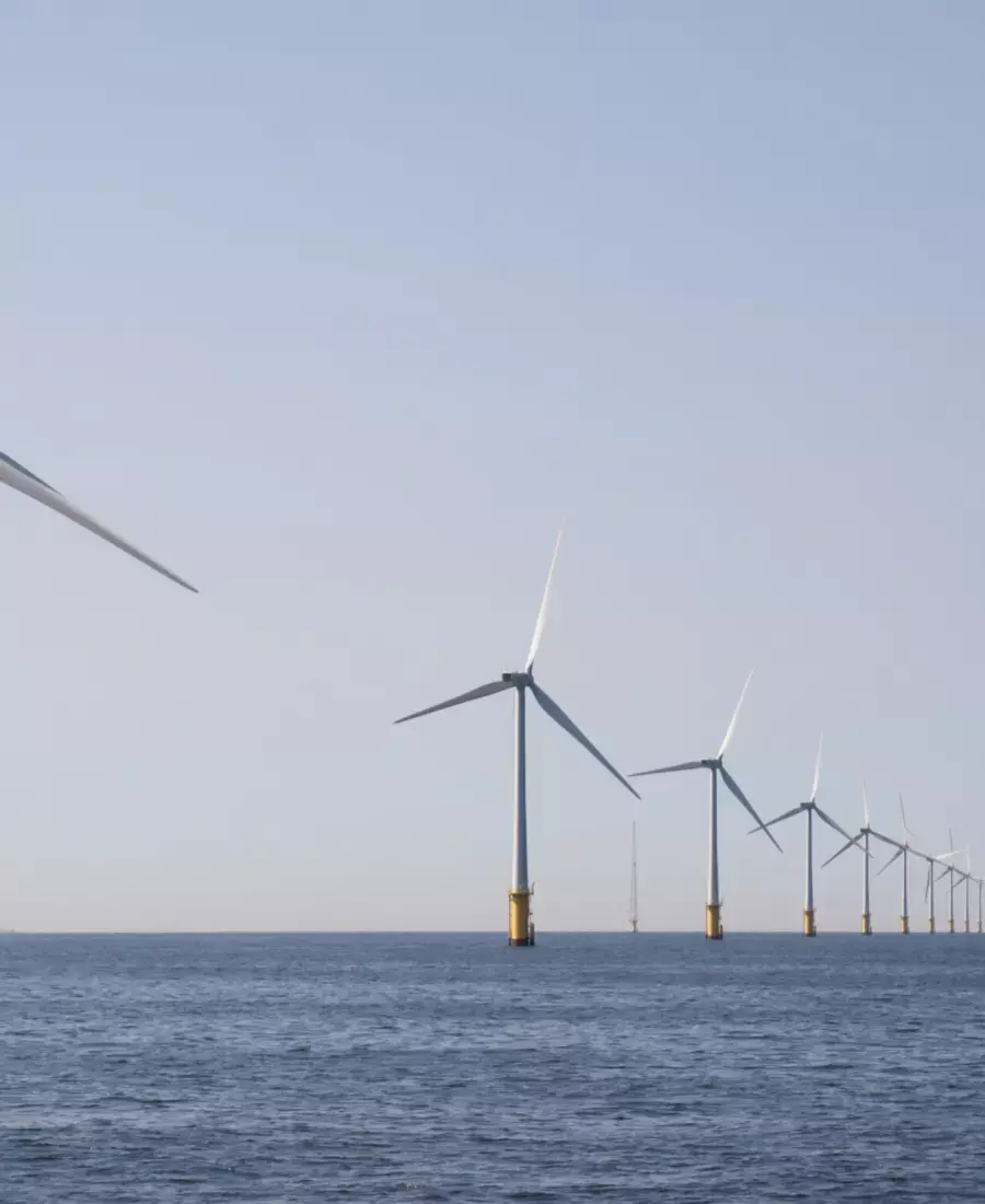 Offshore wind farm