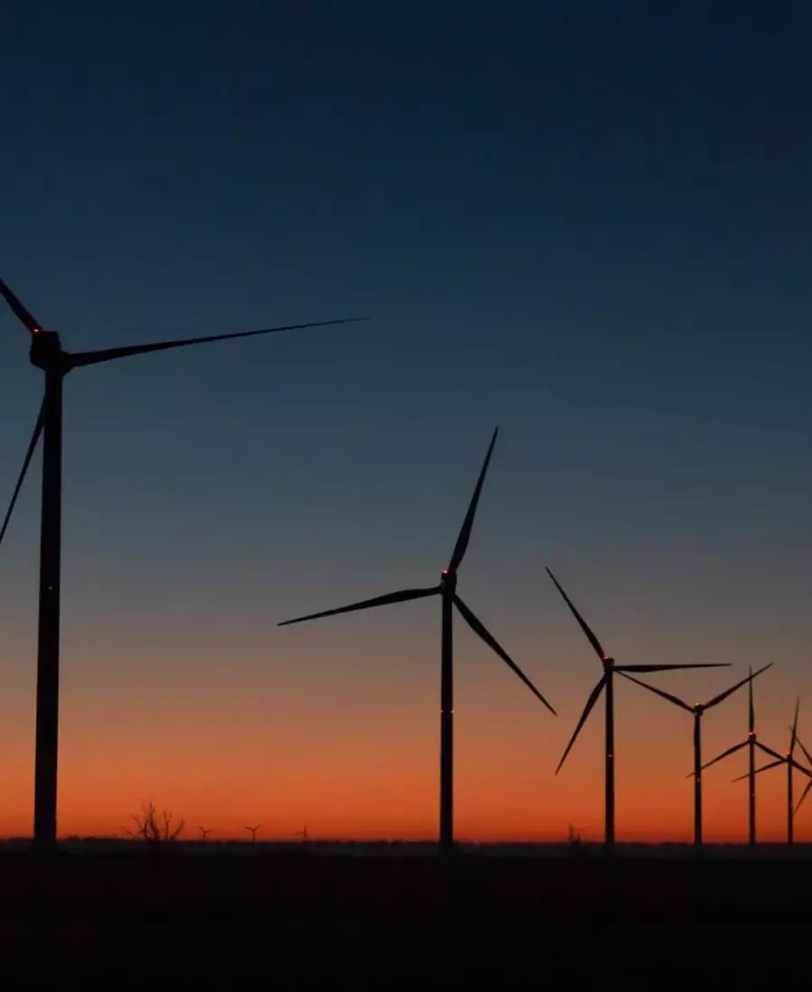 Feasibility & market studies